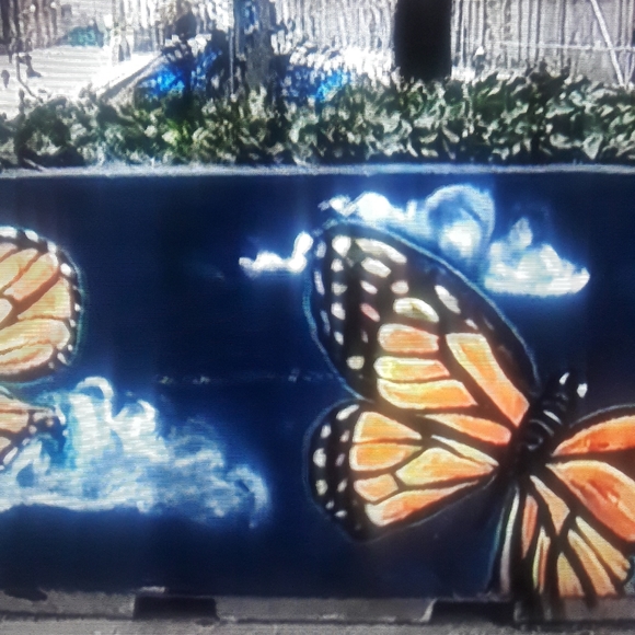 Meet your Posher, Dina - Picture 3 of 3